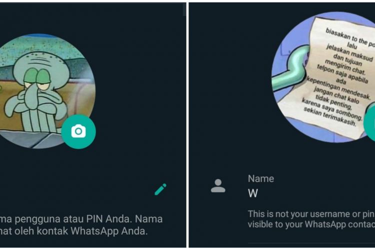 Detail Foto Lucu Untuk Whatsapp Nomer 56