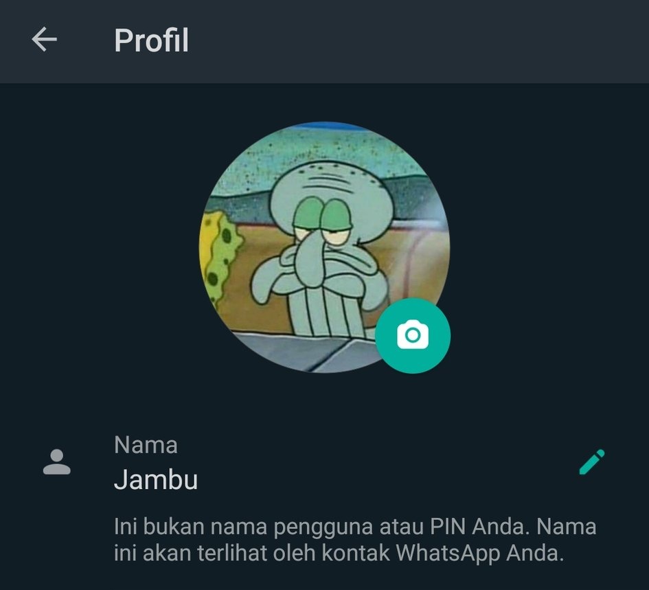 Detail Foto Lucu Untuk Whatsapp Nomer 8