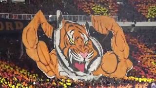 Detail Foto Macan Kemayoran Nomer 38