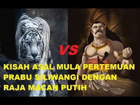 Detail Foto Macan Prabu Siliwangi Nomer 45