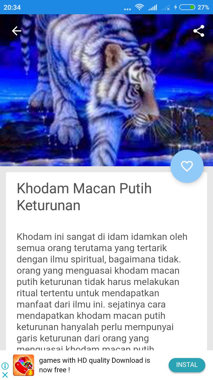 Detail Foto Macan Putih Siliwangi Nomer 57