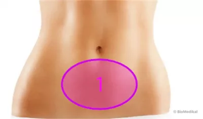 Detail Mann Zieht Bauch Ein Nomer 17