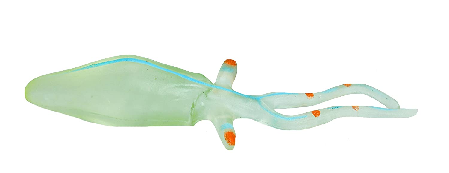 Detail Schwarzer Drachenfisch Nomer 12