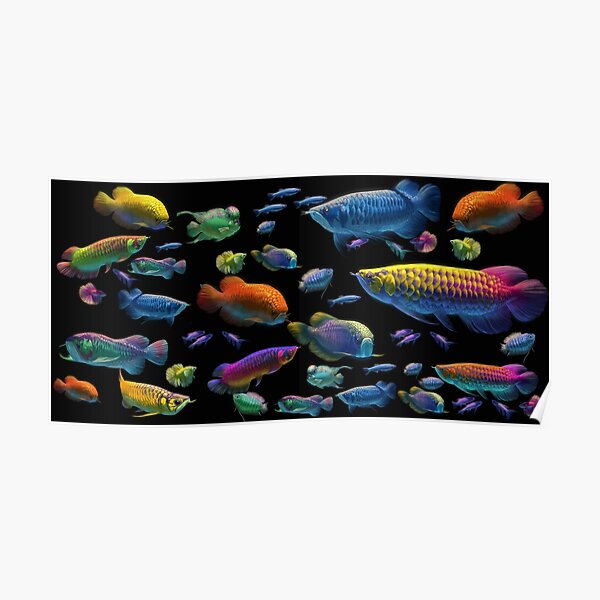 Detail Schwarzer Drachenfisch Nomer 2