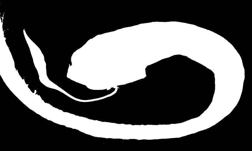 Detail Schwarzer Drachenfisch Nomer 23