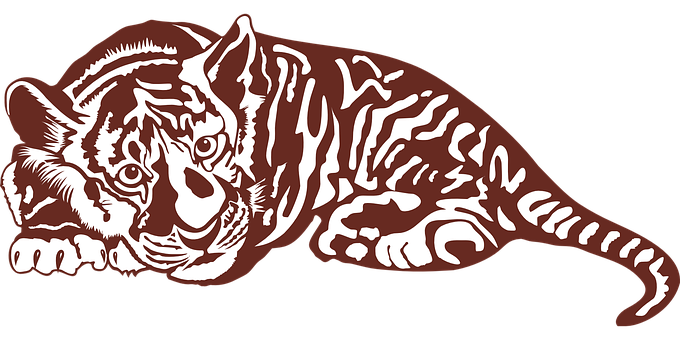 Detail Tiger Ohne Fell Nomer 22