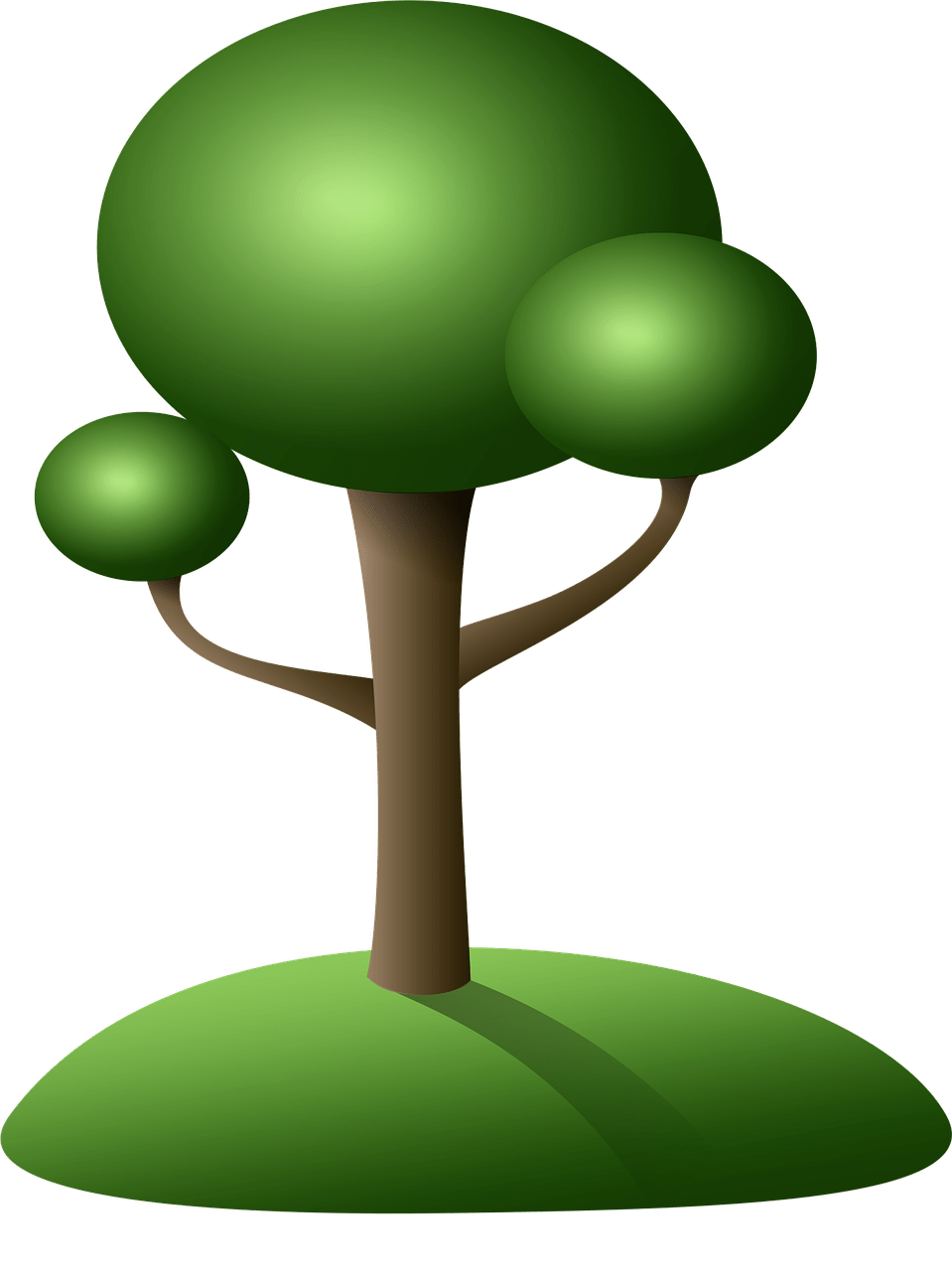 Detail Arbre Clipart Nomer 13