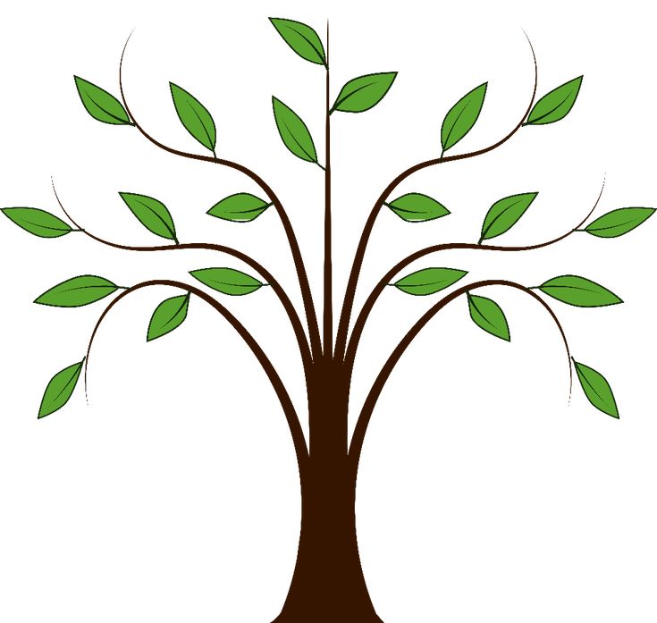 Detail Arbre Clipart Nomer 7