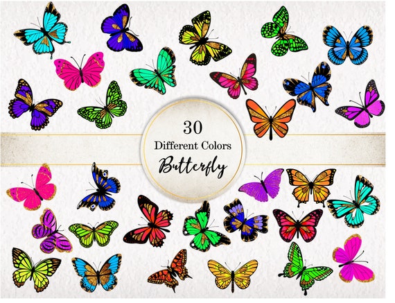 Detail Bilder Mit Schmetterlingen Nomer 23
