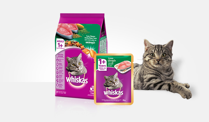 Detail Foto Makanan Kucing Whiskas Nomer 23