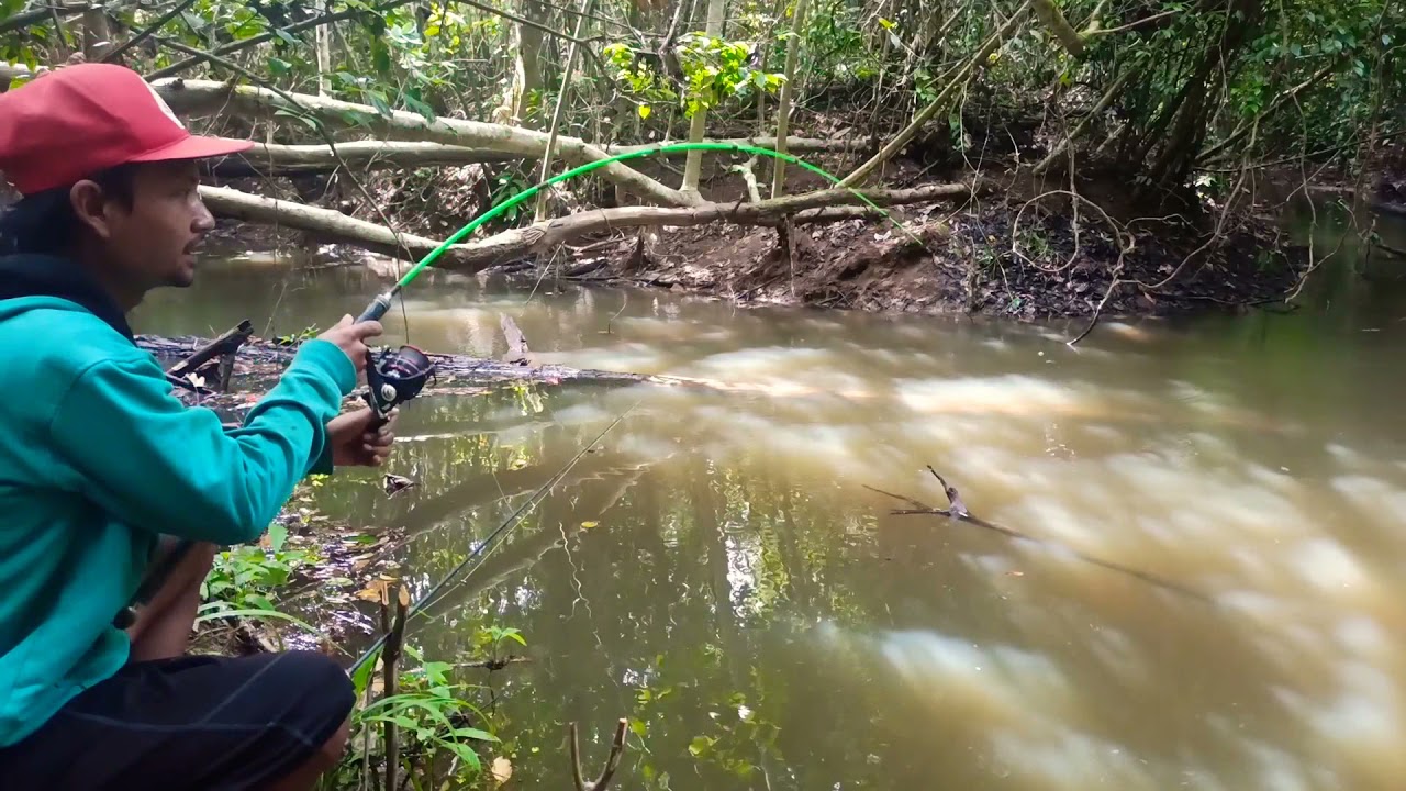 Detail Foto Mancing Di Sungai Nomer 25