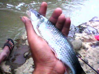 Detail Foto Mancing Di Sungai Nomer 32