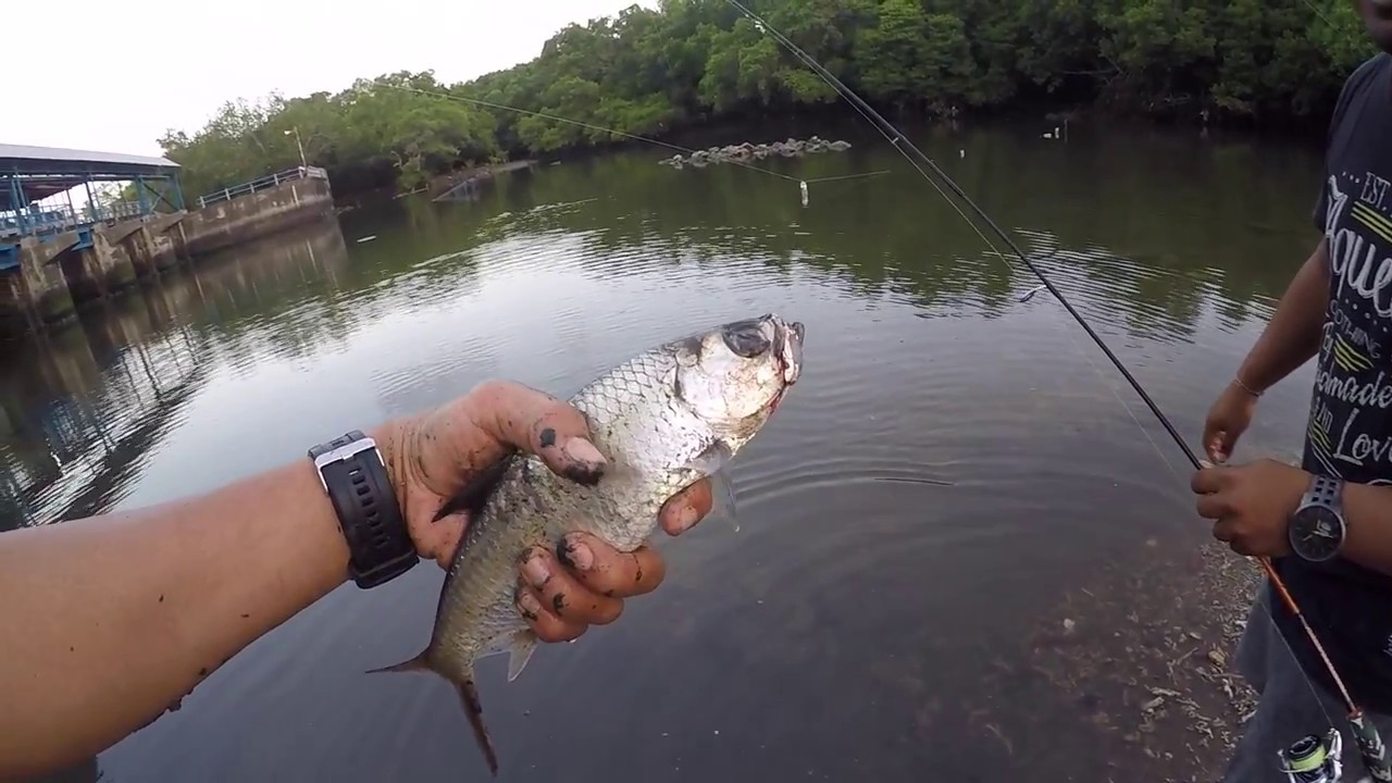 Detail Foto Mancing Di Sungai Nomer 35