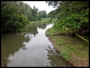 Detail Foto Mancing Di Sungai Nomer 37