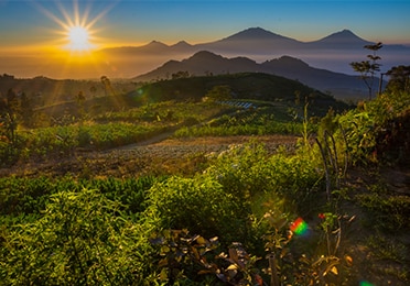 Detail Foto Matahari Terbit Yang Indah Nomer 8