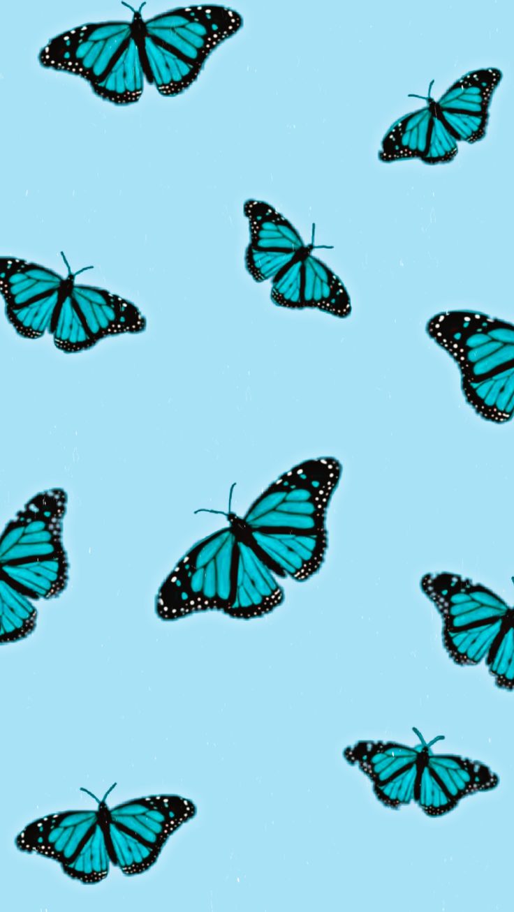 Detail Iphone Hintergrundbilder Schmetterling Nomer 15