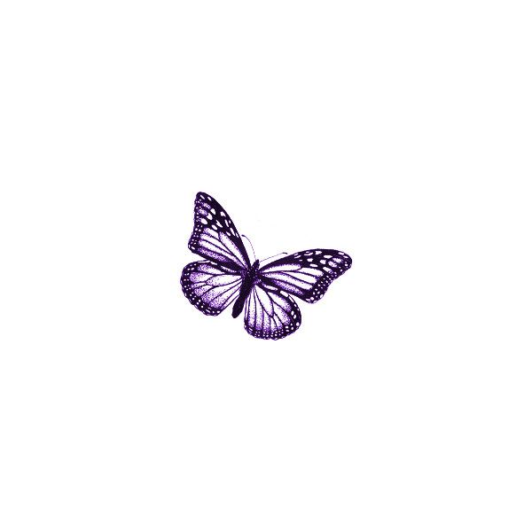 Detail Iphone Hintergrundbilder Schmetterling Nomer 28
