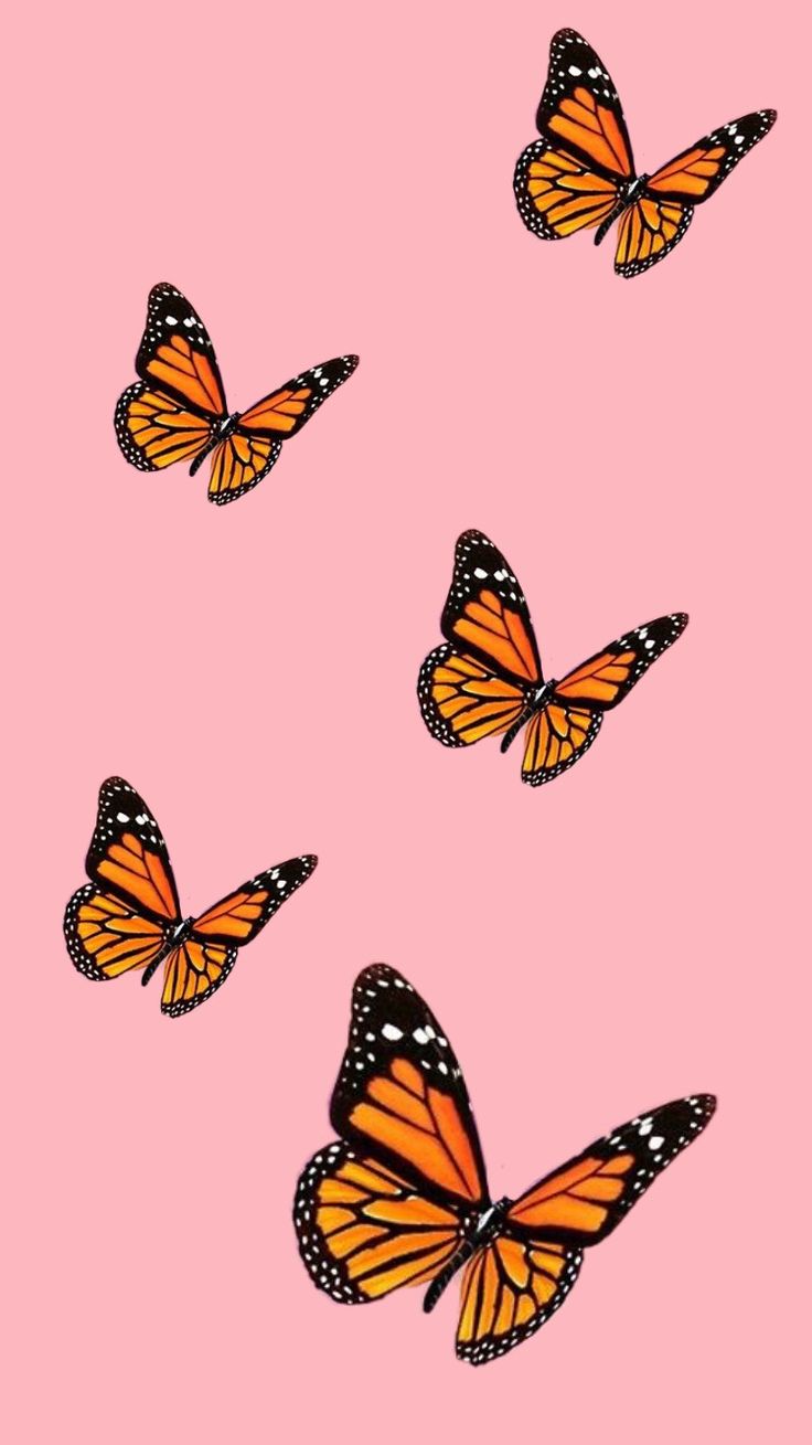 Detail Iphone Hintergrundbilder Schmetterling Nomer 7