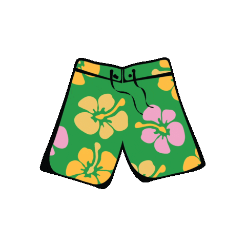 Detail Sh Brief Nomer 17