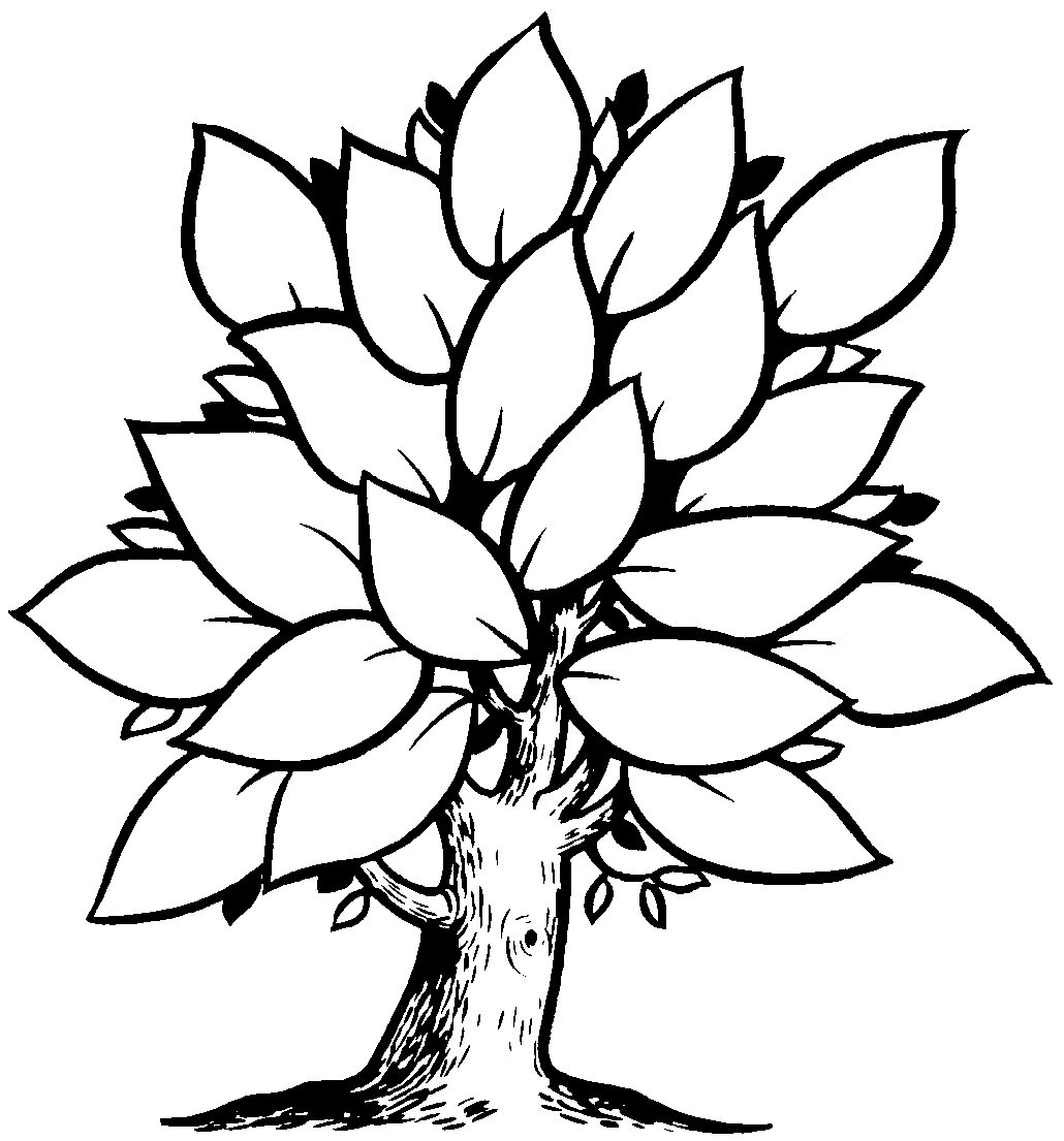 Detail Arbol De La Vida Para Colorear Nomer 11