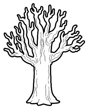 Detail Arbol De La Vida Para Colorear Nomer 12