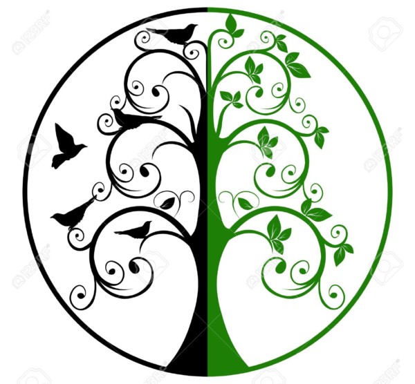 Detail Arbol De La Vida Para Colorear Nomer 17