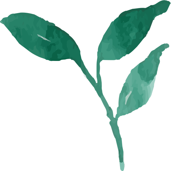 Detail Emerald Green Leaves Nomer 10