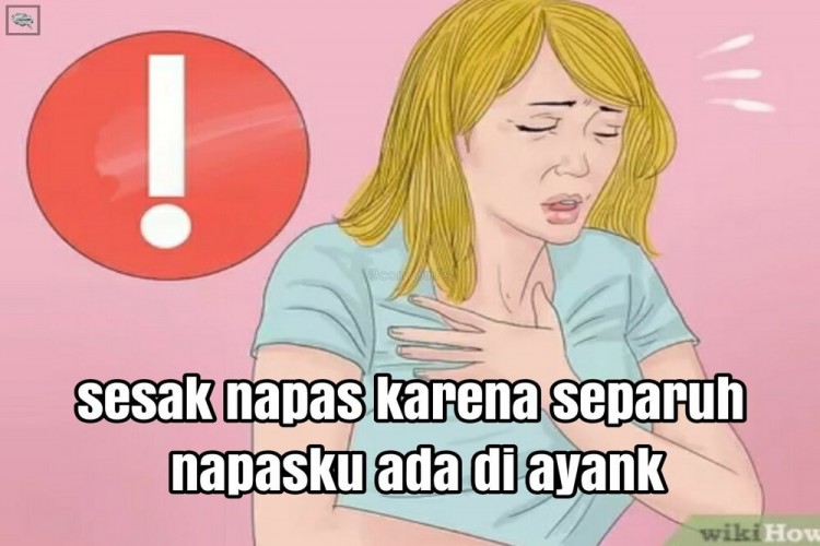 Detail Foto Meme Kocak Nomer 3