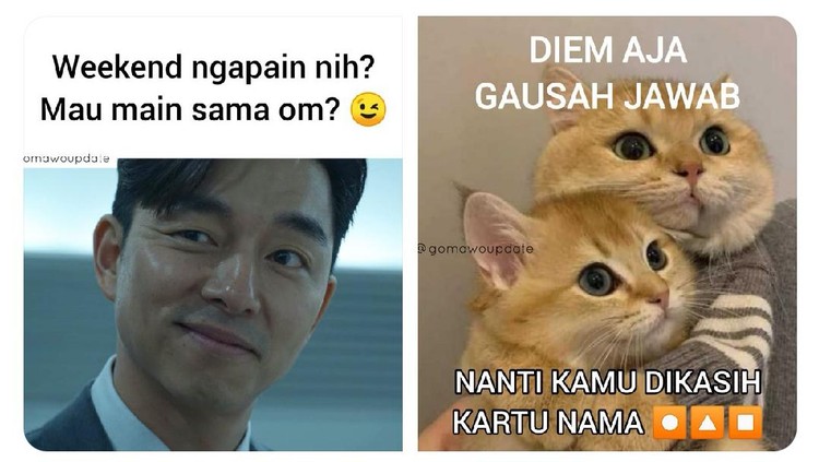 Detail Foto Meme Lucu Nomer 34