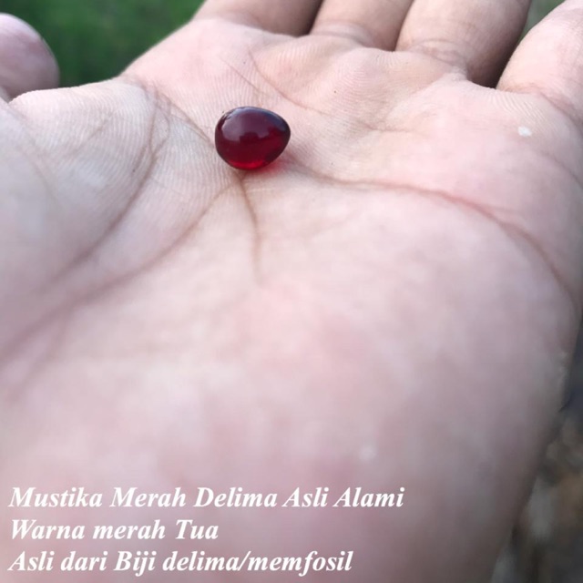 Detail Foto Merah Delima Nomer 2