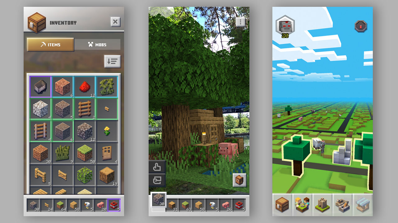 Detail Foto Minecraft Nomer 38