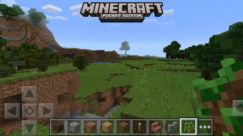 Detail Foto Minecraft Pocket Edition Nomer 11