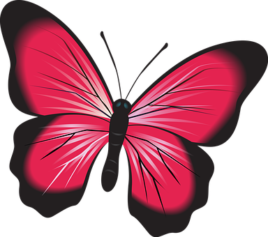 Detail Schmetterling Clipart Nomer 19