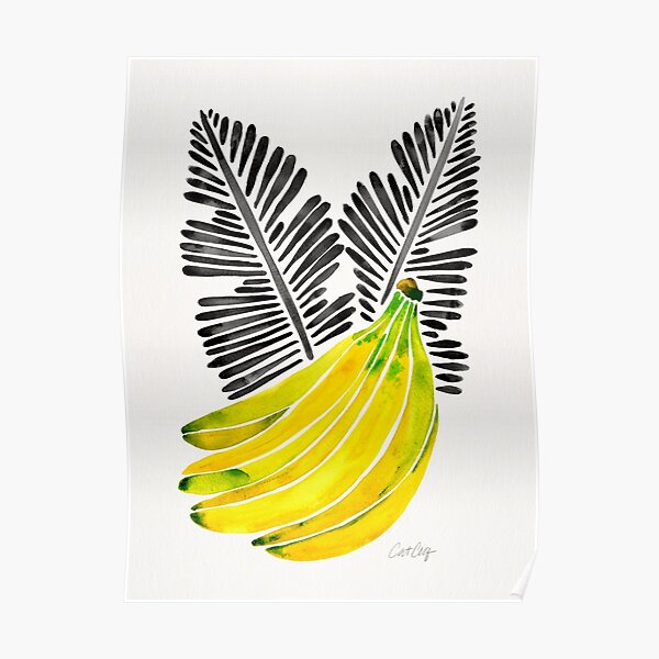 Detail Schwarze Banane Nomer 17