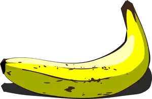 Detail Schwarze Banane Nomer 19