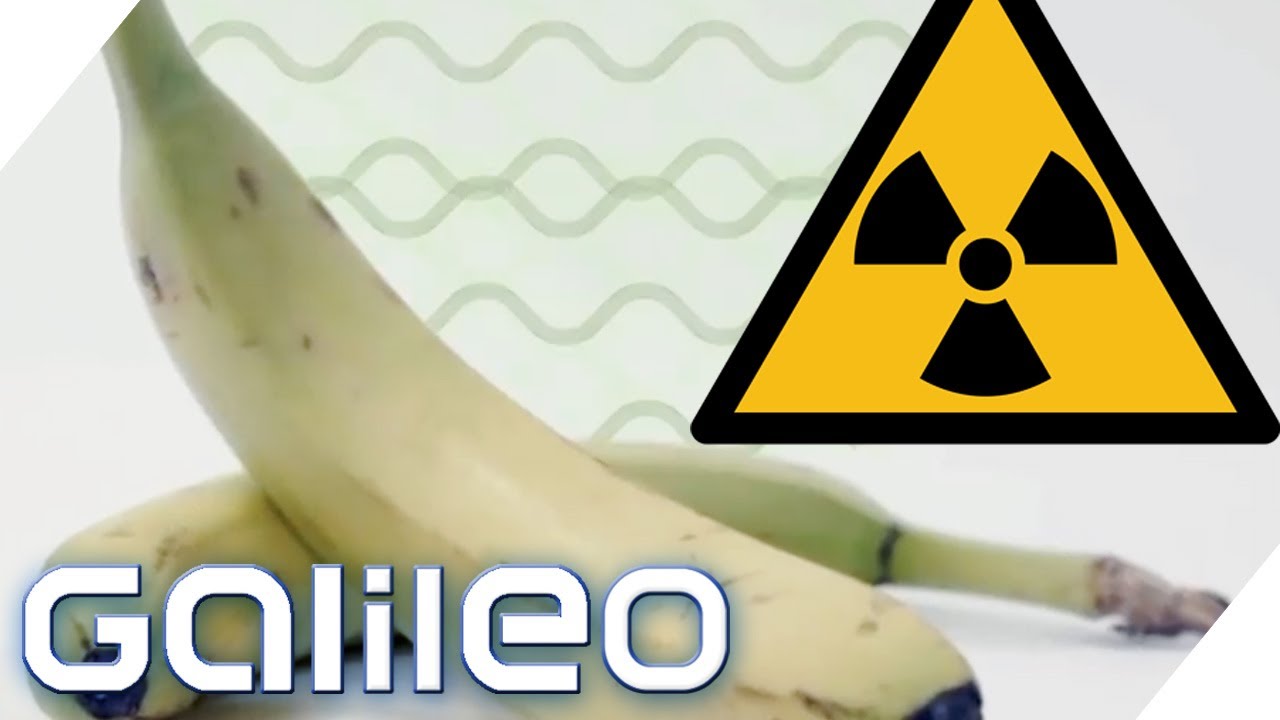 Detail Schwarze Banane Nomer 20
