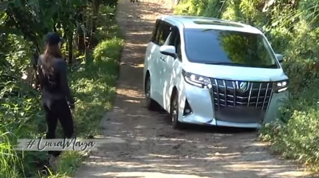 Detail Foto Mobil Alphard Nomer 38