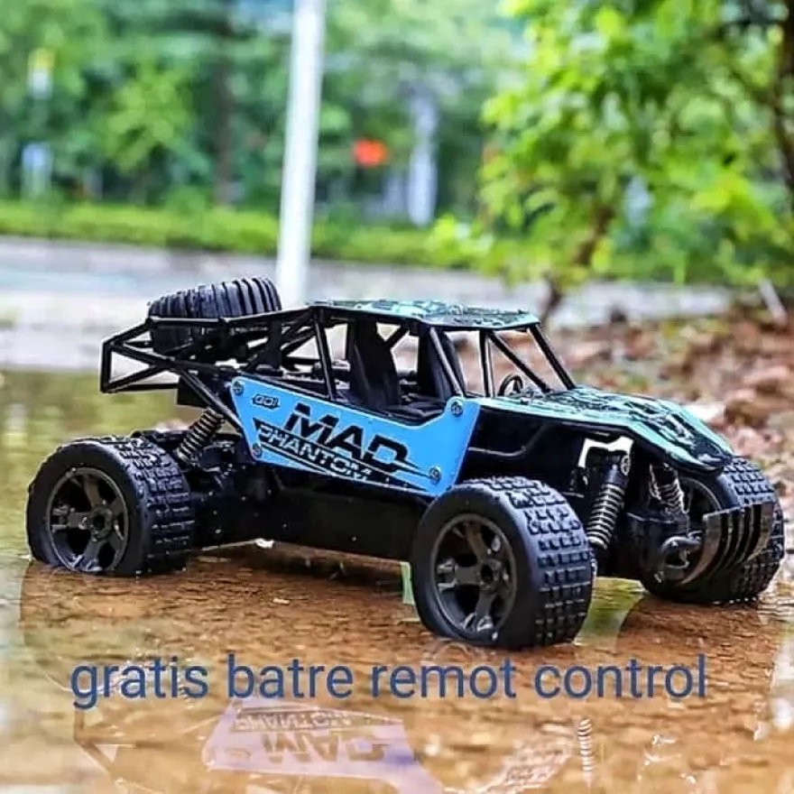 Detail Foto Mobil Remote Control Nomer 10