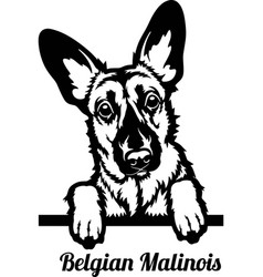 Detail Malinois Silhouette Nomer 17