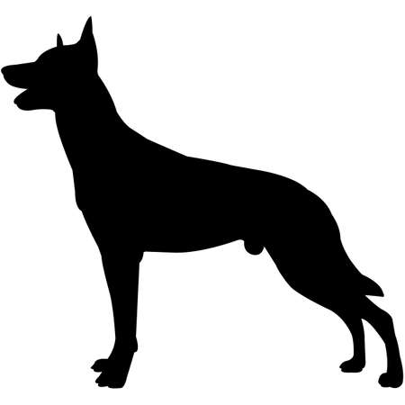 Detail Malinois Silhouette Nomer 3