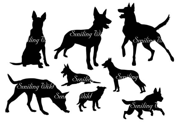 Detail Malinois Silhouette Nomer 6