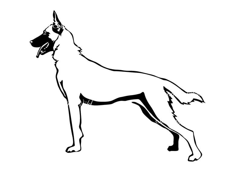 Detail Malinois Silhouette Nomer 7