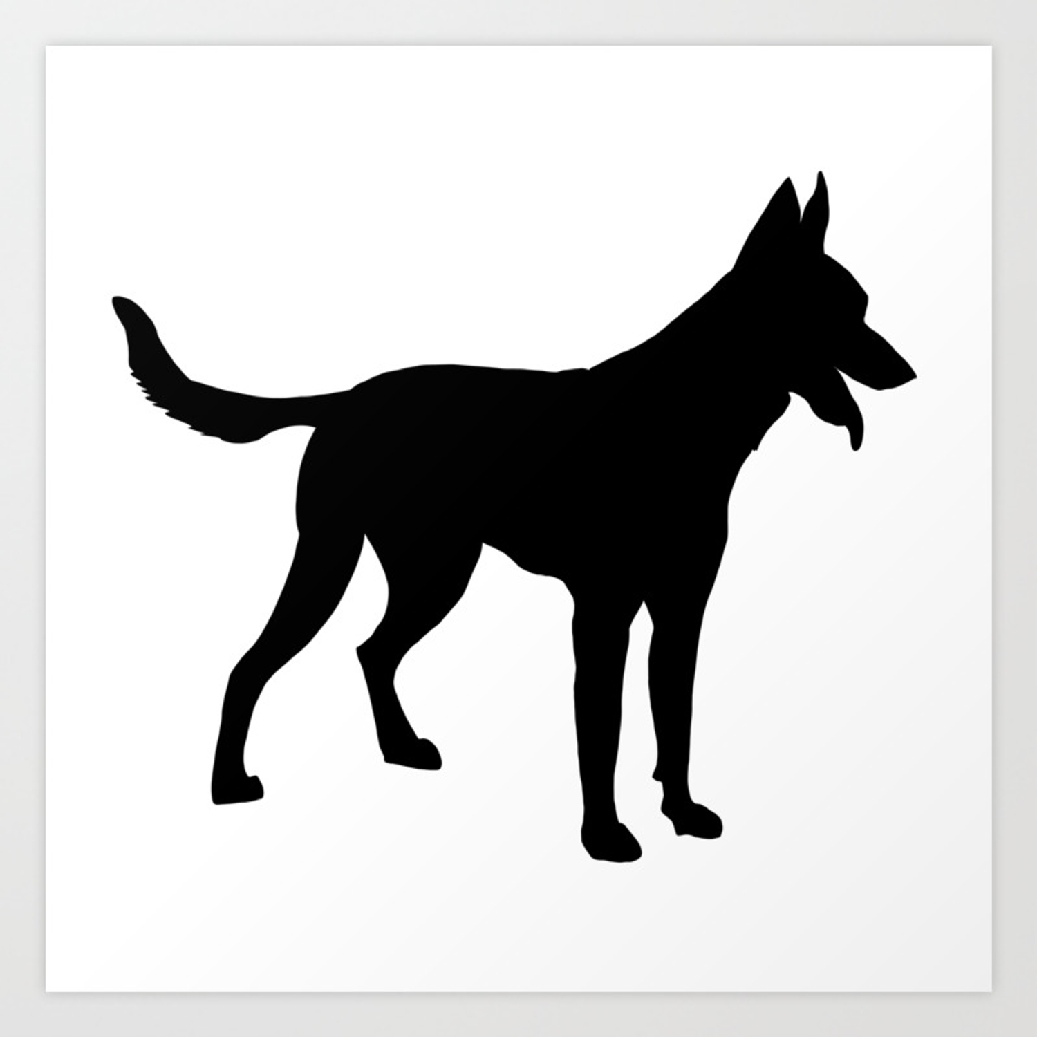 Detail Malinois Silhouette Nomer 8