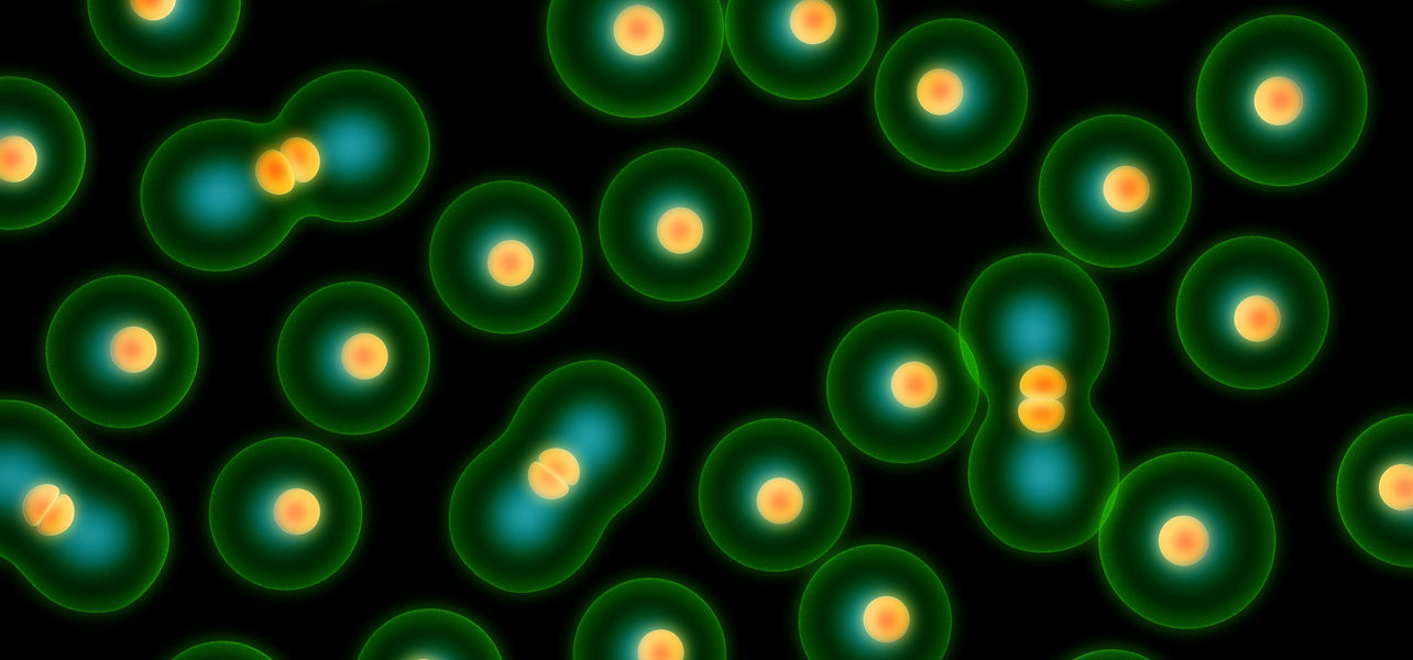 Detail Bilder Bakterien Nomer 9