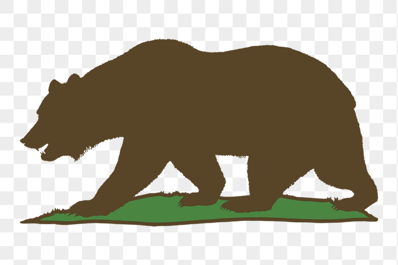 Detail California Grizzly Bear Pictures Nomer 23