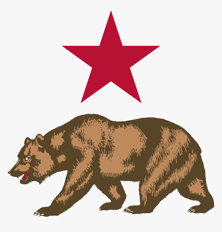 Detail California Grizzly Bear Pictures Nomer 3