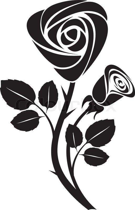 Detail Schwarze Rose Nomer 10