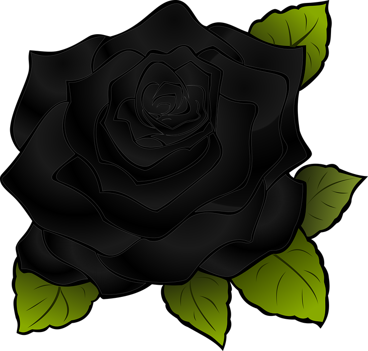Detail Schwarze Rose Nomer 4