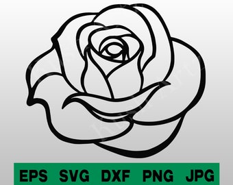 Detail Schwarze Rose Nomer 6