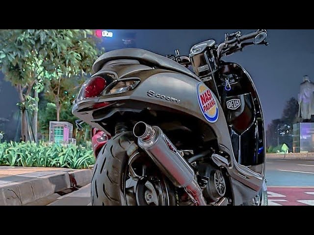 Detail Foto Modifikasi Motor Scoopy Nomer 35